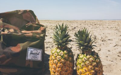 6 Best Nutritious Backpacking Foods for the Trails or Long Trips