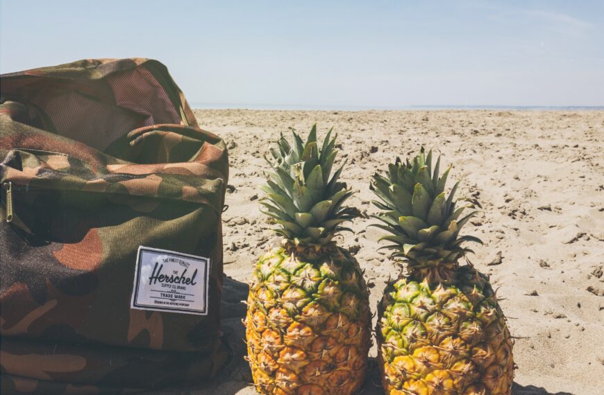 Top 6 Nutritious Backpacking Foods for the Trails or Long Trips